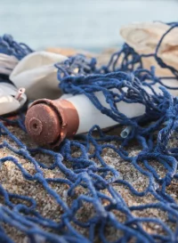 Image qui montre les déchets qu'il peut avoir sur la plage et qui est utlisé sur la page à propos.
